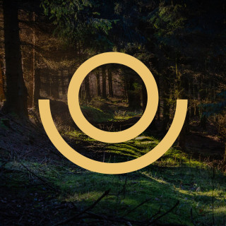 Entreprendre en conscience